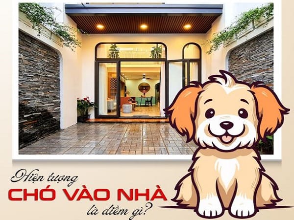 Nằm mơ thấy chó vào nhà là điềm gì khiến ai cũng tò mò