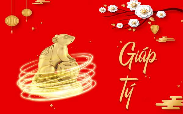Tổng quan vận trình tử vi tuổi Giáp Tý 14/12/2025